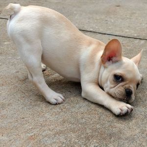 Meet your Posher, Vicki